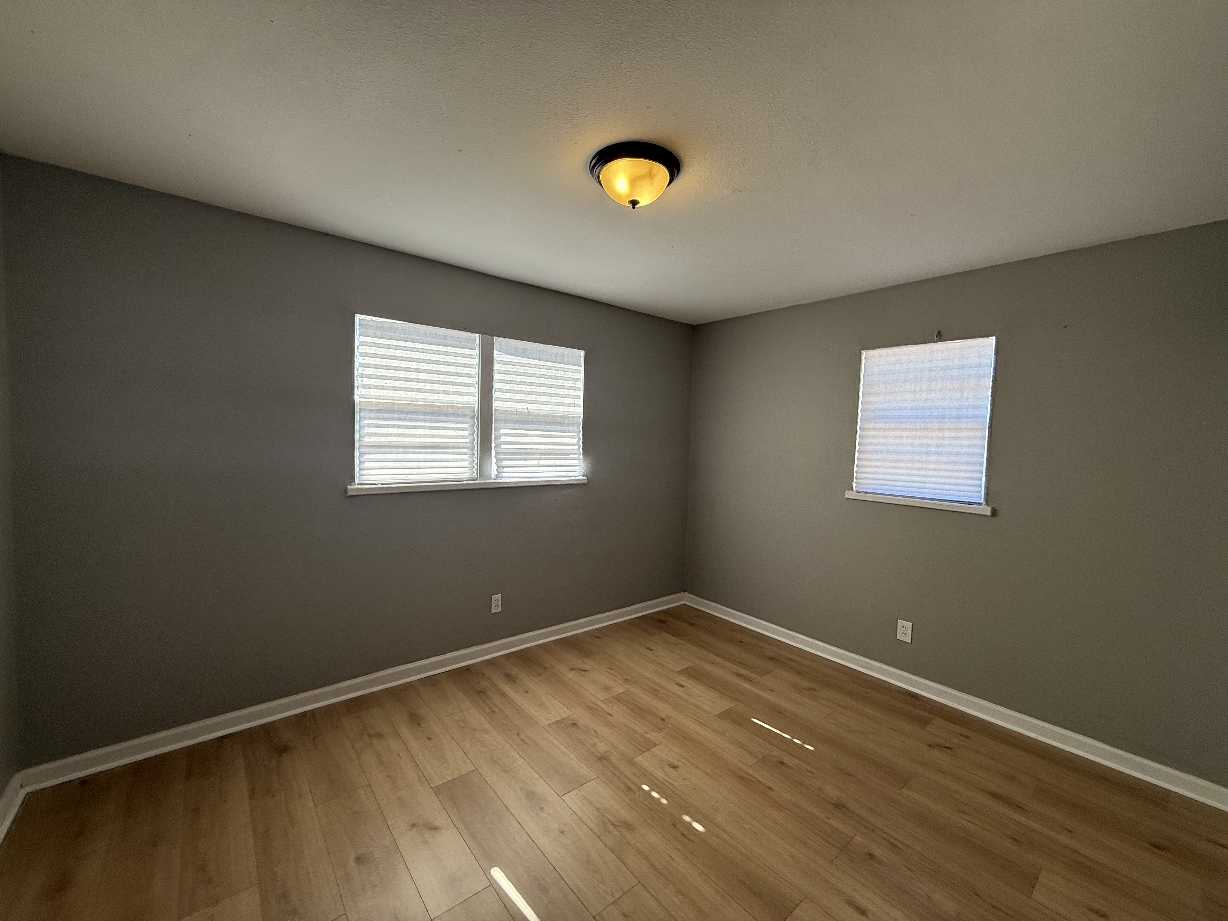 3003 Walnut photo 2