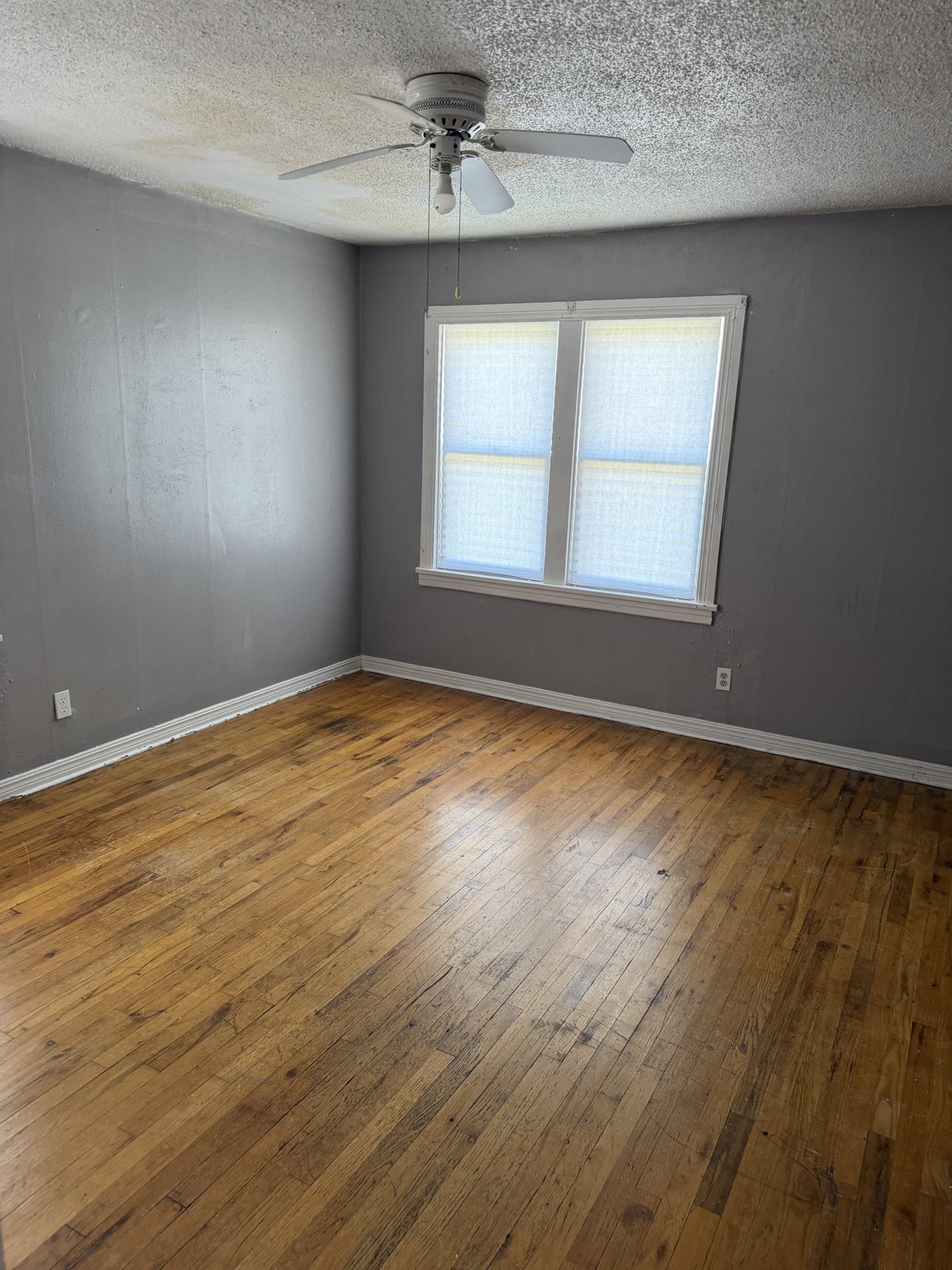 4109 S Jackson photo 4
