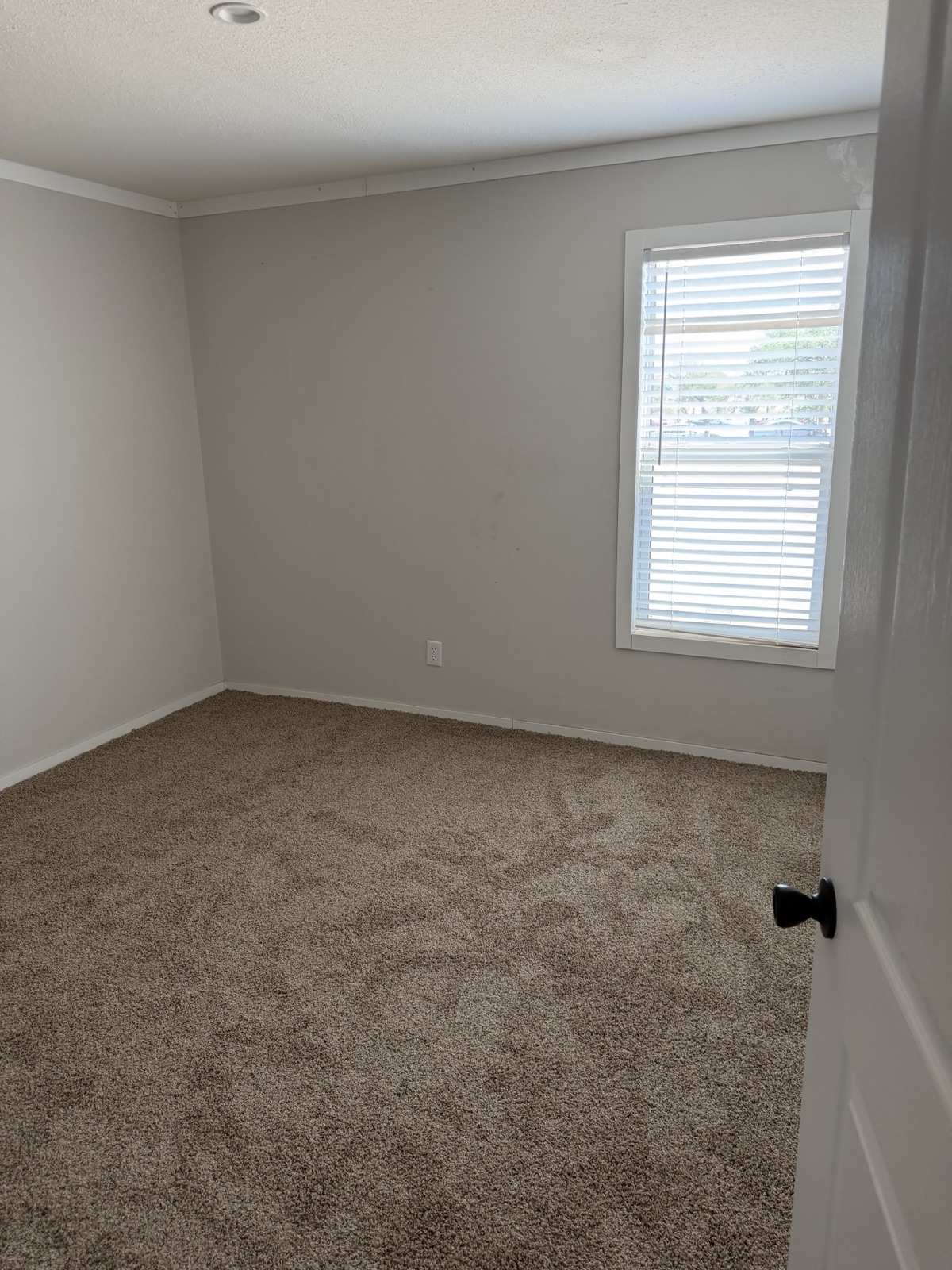2025 Champion 32x76 carpeted bedroom