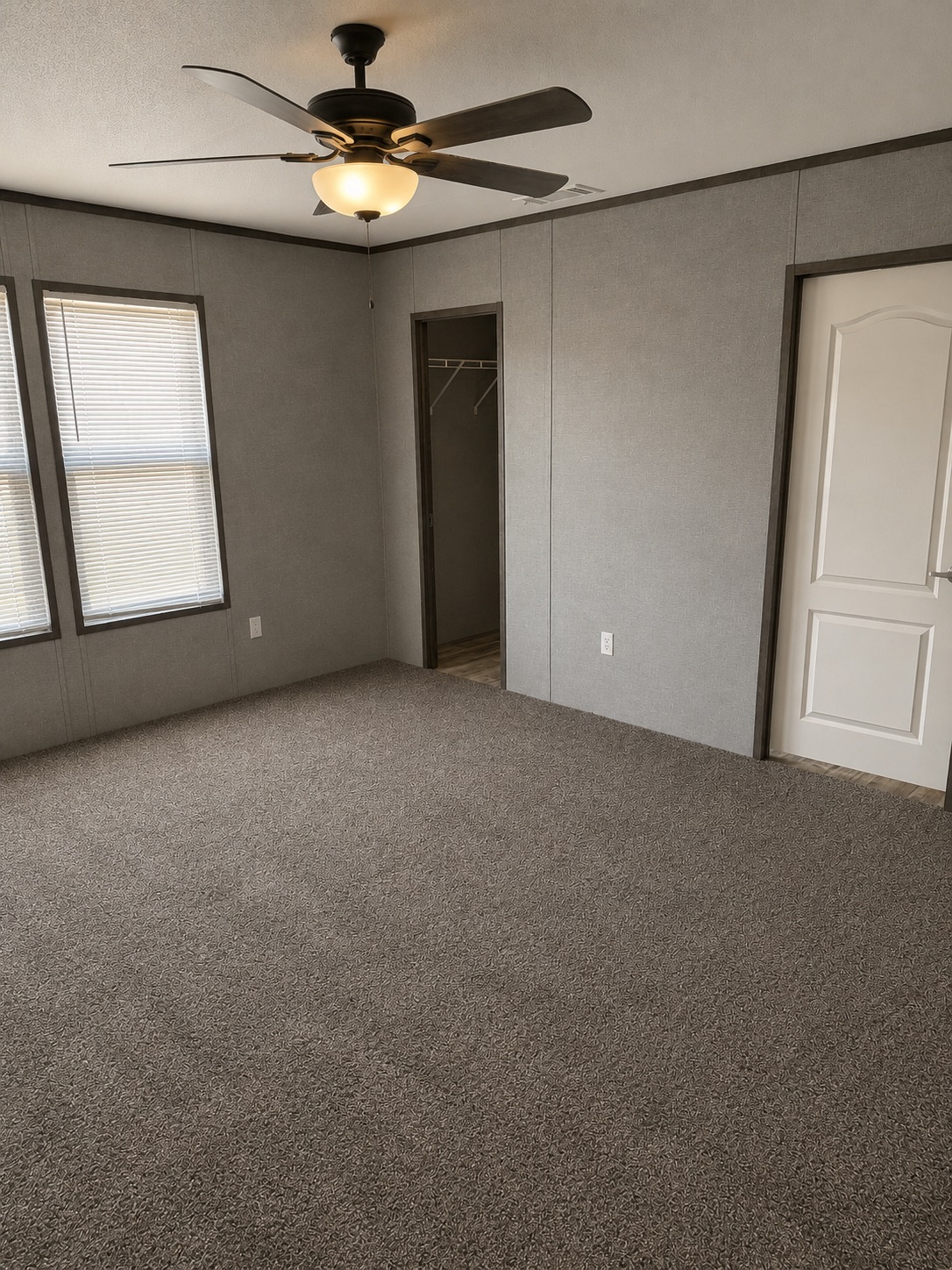 Primary bedroom with walk-in closet
