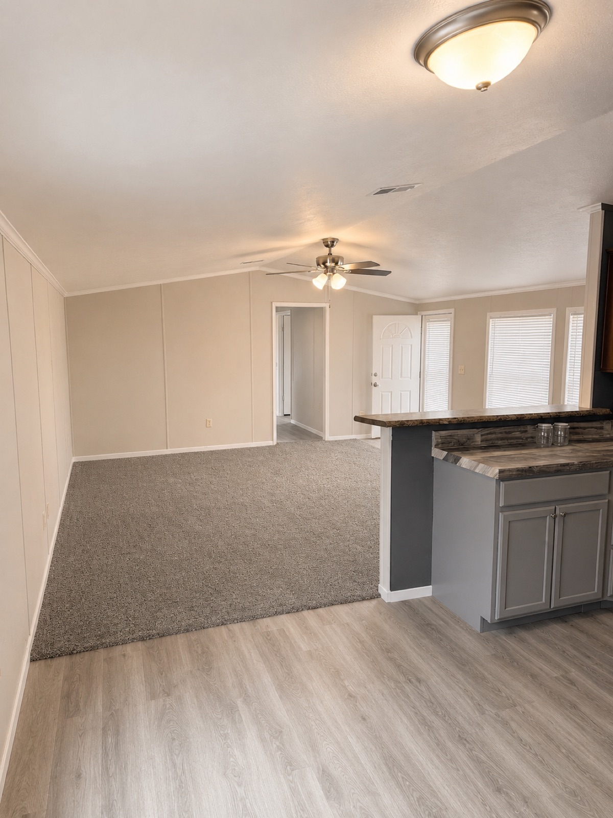 Living room and kitchen