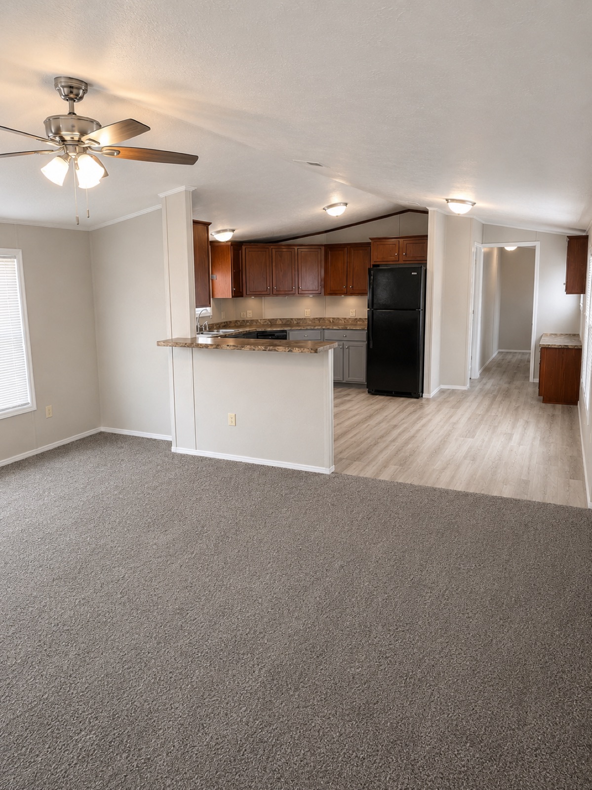 Open-concept living and kitchen