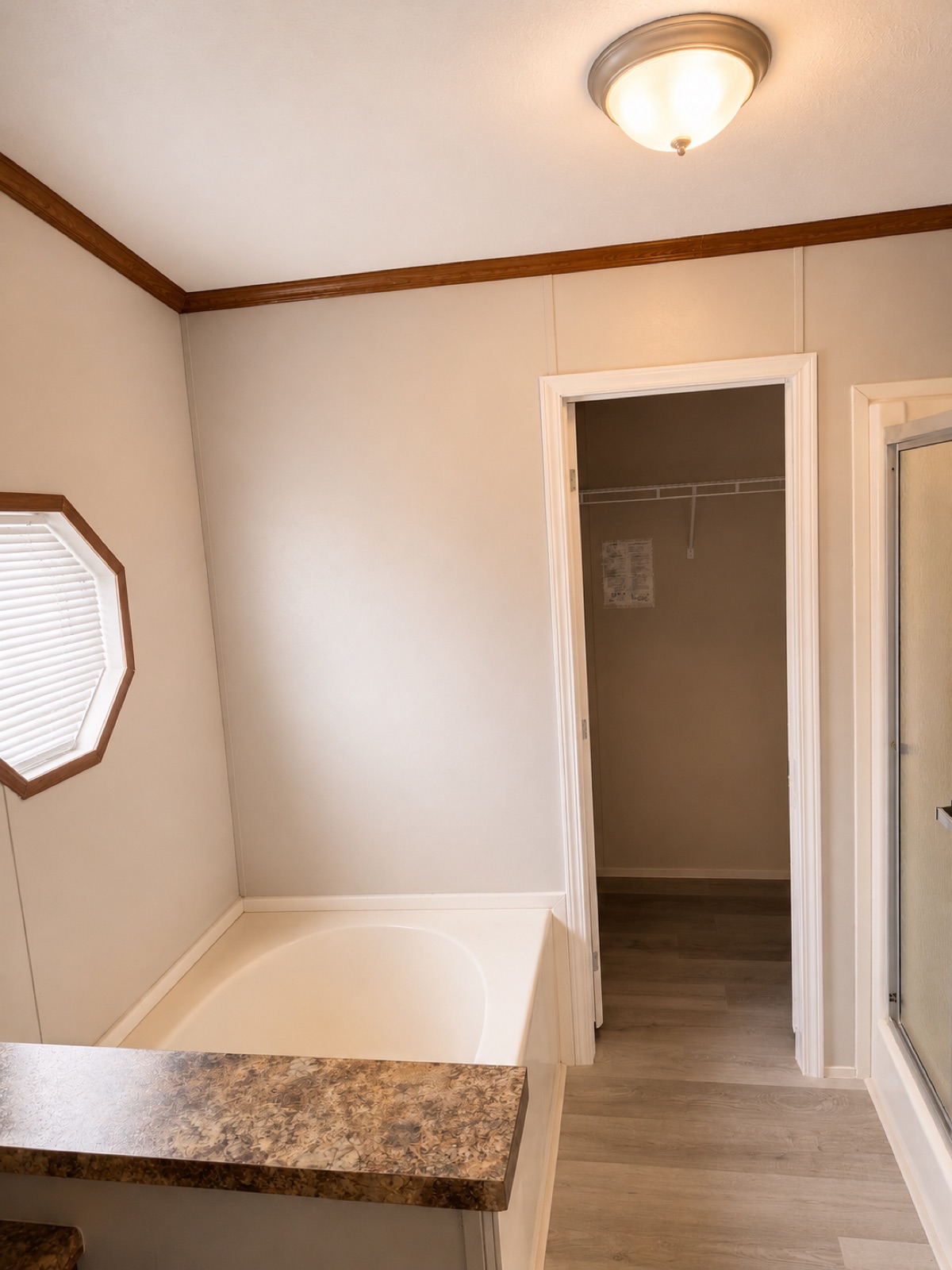 Primary bath with garden tub and walk-in closet